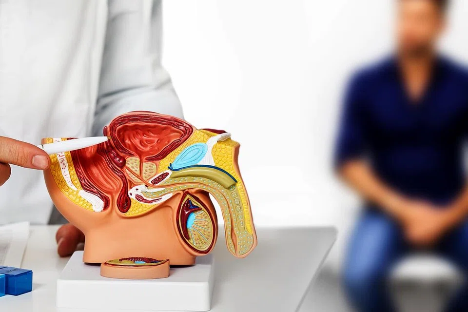 Rancang pemeriksaan kesihatan urologi secara berkala. Bagi lelaki, bincang dengan doktor tentang ujian antigen spesifik prostat (PSA); dan bagi wanita pula, lakukan penilaian menyeluruh dengan doktor melibatkan kesihatan urologi dan sistem reproduktif.