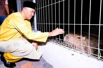 Johor, Zoo Johor, Mohd Jafni Md Shukor, kerja naik taraf, tourism