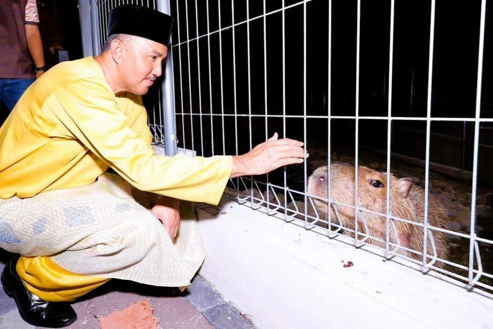 Johor, Zoo Johor, Mohd Jafni Md Shukor, kerja naik taraf, tourism