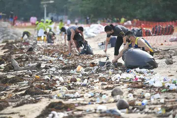KITAR SEMULA: Sampah sarap dibersihkan di Pantai East Coast Jumaat lalu (31 Julai). Kitar semula sampah kini menjadi lebih penting. Inilah huraian inovatif dan mapan yang dipersembahkan semasa Hari Demo Dalam Alam Maya 2020. - Foto BH SHINTARO TAY