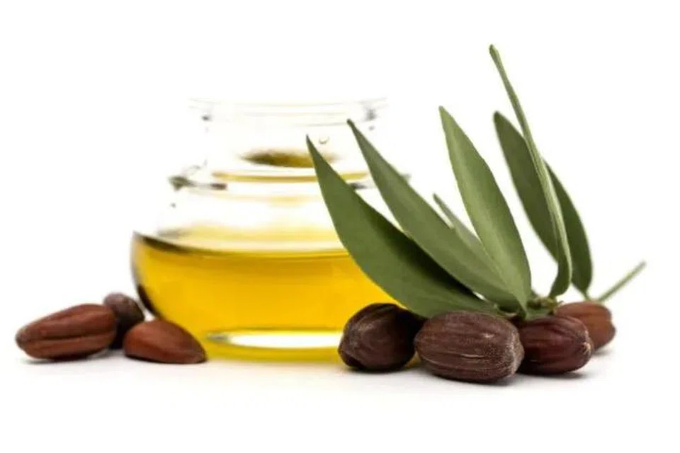 Minyak jojoba dikatakan dapat membantu mengawal pengeluaran minyak berlebihan pada kulit kepala.