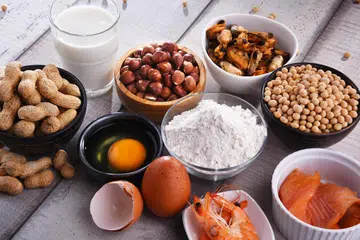 Makanan yang kerap menjadi pencetus alahan termasuk telur, susu, makanan laut, kacang soya, kacang tanah, tepung gandum dan sebagainya.
