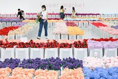 PAMERAN BAK PASAR BUNGA: Pameran interaktif, ‘Flower Market’ oleh penggiat seni Australia, CJ Hendry, menampilkan puluhan ribu bunga diperbuat daripada kain lembut atau ‘plush’, menjadikan ruang itu seperti sebuah pasar bunga.