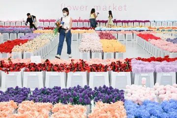 PAMERAN BAK PASAR BUNGA: Pameran interaktif, ‘Flower Market’ oleh penggiat seni Australia, CJ Hendry, menampilkan puluhan ribu bunga diperbuat daripada kain lembut atau ‘plush’, menjadikan ruang itu seperti sebuah pasar bunga.