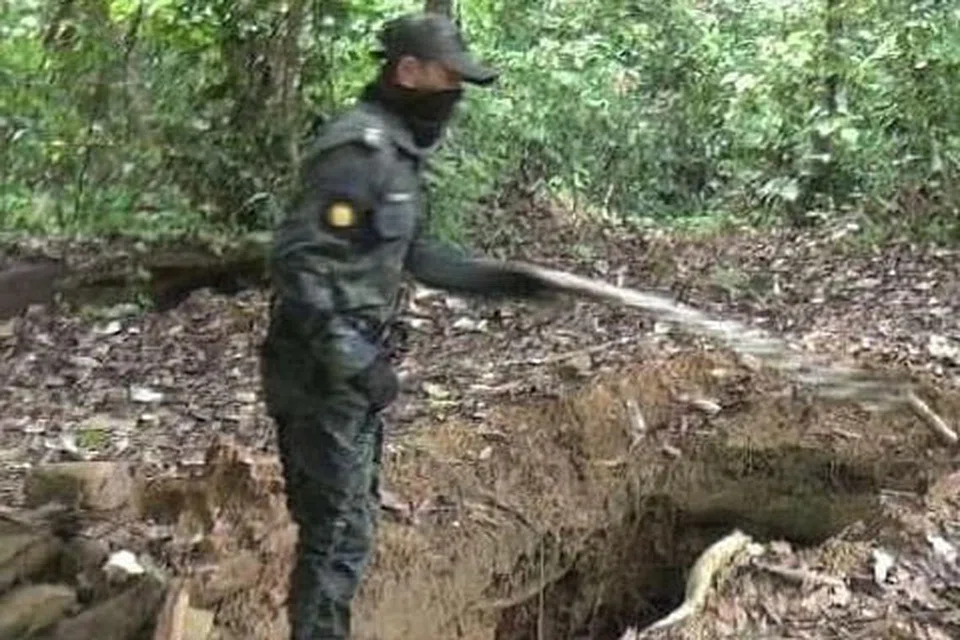 PENEMUAN MENGEJUTKAN: Ratusan lubang lombong di Sungai Bole dalam Hutan Simpan Ulu Segama Malua di Lembah Danum ditemui pihak berkuasa Malaysia. - Foto 