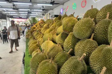 Peluang pencinta durian menikmati raja buah itu sepuasnya dalam beberapa pesta yang akan diadakan bukan sahaja di Singapura, malah di seberang Tambak.