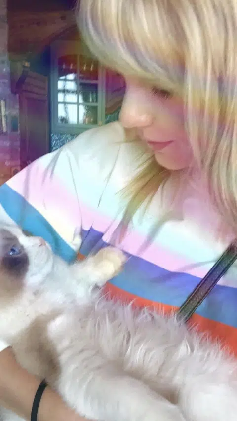 Penyanyi Taylor Swift mempunyai tiga ekor kucing dan akan membawa mereka ke mana sahaja beliau pergi. 