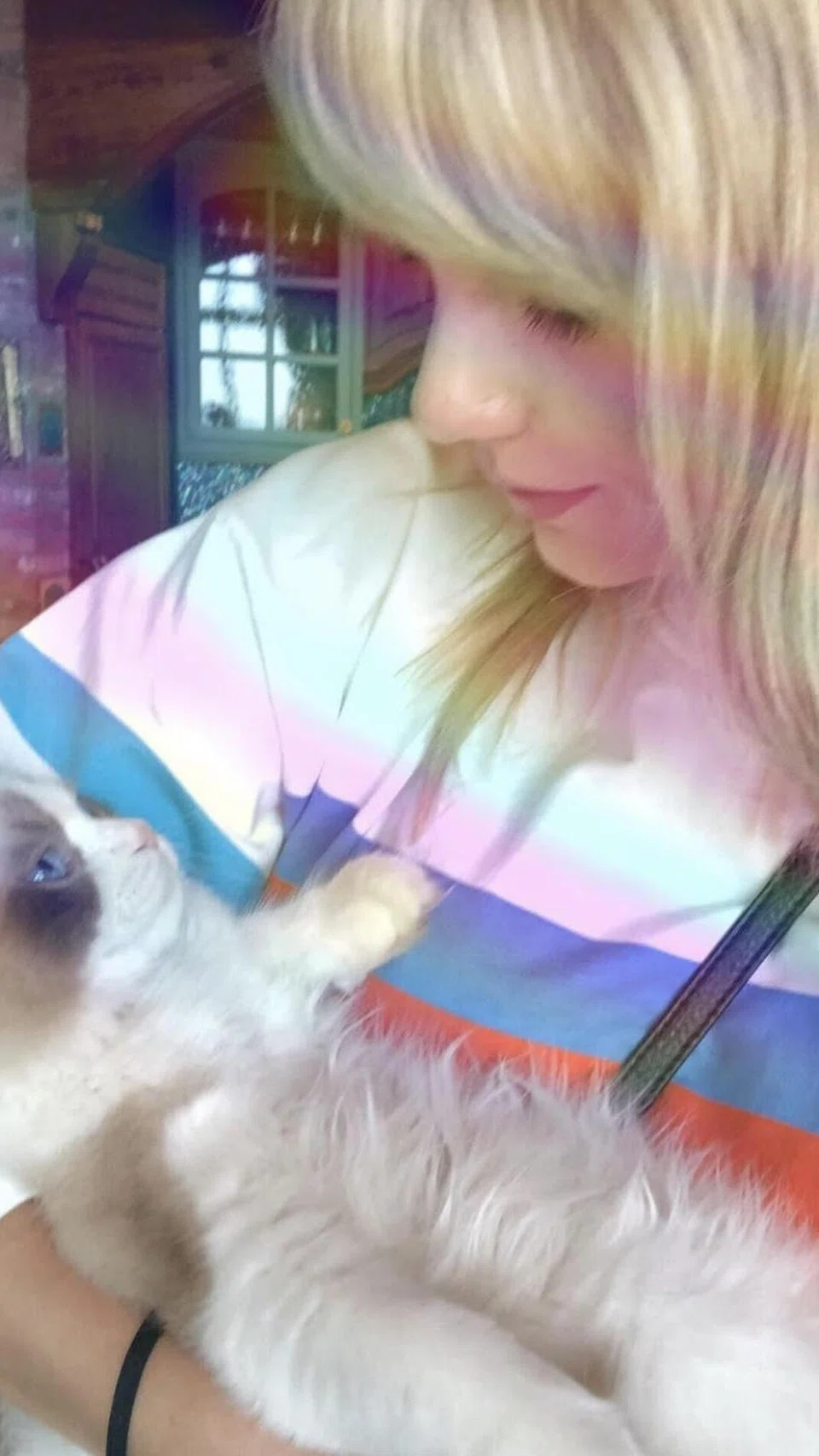 Penyanyi Taylor Swift mempunyai tiga ekor kucing dan akan membawa mereka ke mana sahaja beliau pergi. 