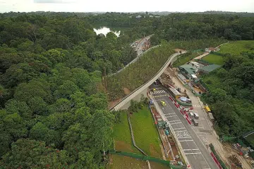 JAMBATAN HIDUPAN LIAR MANDAI: Jambatan yang hubungkan dua kawasan dilindungi di Hutan Simpanan Tadahan Air Bahagian Tengah (CCNR) dilancarkan semalam. Ia sebahagian rancangan membaik pulih kawasan terlindung di Mandai. - Foto MANDAI PARK HOLDINGS