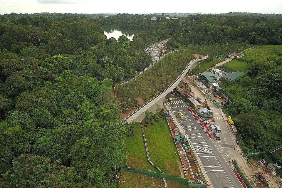 JAMBATAN HIDUPAN LIAR MANDAI: Jambatan yang hubungkan dua kawasan dilindungi di Hutan Simpanan Tadahan Air Bahagian Tengah (CCNR) dilancarkan semalam. Ia sebahagian rancangan membaik pulih kawasan terlindung di Mandai. - Foto MANDAI PARK HOLDINGS