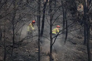 Anggota bomba memadamkan bara api di kawasan pergunungan berhampiran kuil Gounsa selepas kebakaran hutan memusnahkan kawasan tersebut, di Uiseong, Korea Selatan, 27 Mac 2025. 
