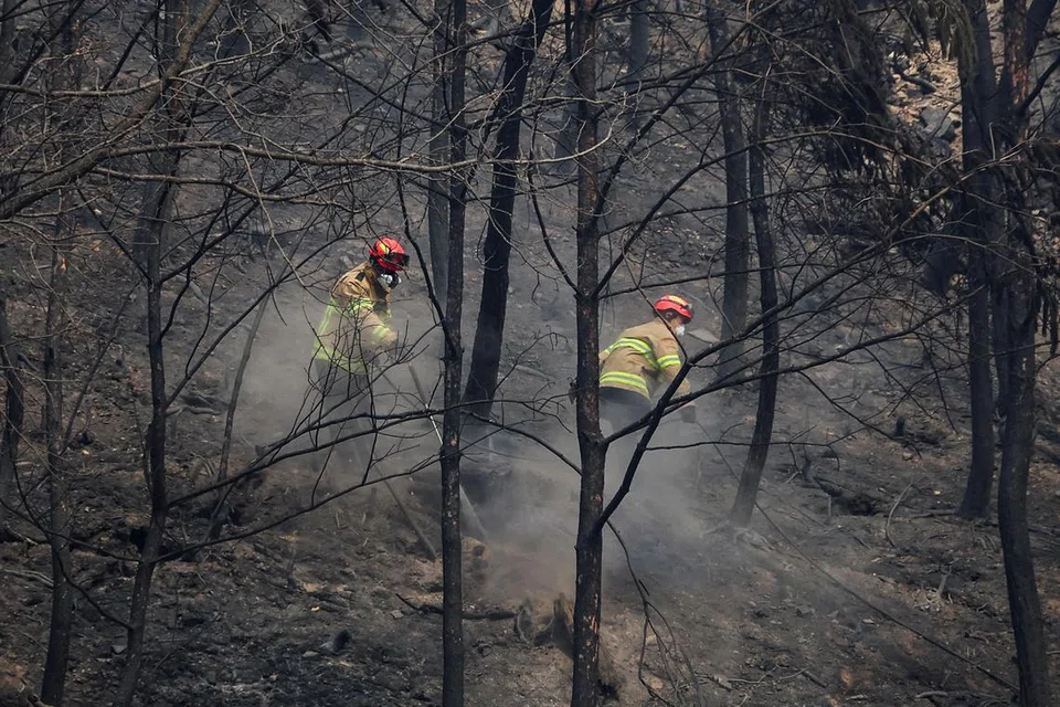 Anggota bomba memadamkan bara api di kawasan pergunungan berhampiran kuil Gounsa selepas kebakaran hutan memusnahkan kawasan tersebut, di Uiseong, Korea Selatan, 27 Mac 2025. 