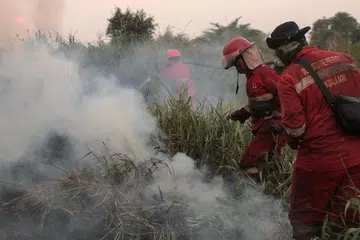 Anggota bomba berusaha memadamkan kebakaran hutan dan tanah di Palem Raya, Kabupaten Ogan Ilir, Sumatera Selatan, Indonesia, pada 13 Ogos 2026. Musim kemarau yang semakin buruk akibat fenomena El Nino mencetuskan kebakaran tanah dan gambut secara meluas, dengan puluhan ribu hektar kawasan terjejas di Sumatera Selatan. Kebakaran turut menyebabkan mutu udara merosot dan jerebu menyelubungi beberapa kawasan, termasuk di negara jiran Malaysia.