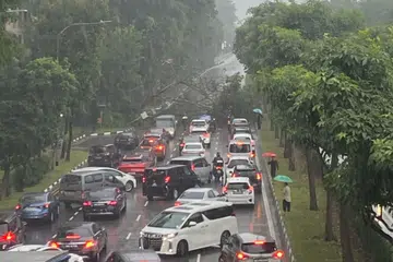 Keadaan sesak di Nicoll Highway selepas sebatang pokok tumbang hingga menyekat kesemua tiga laluan jalan raya itu menuju ke arah Kallang.