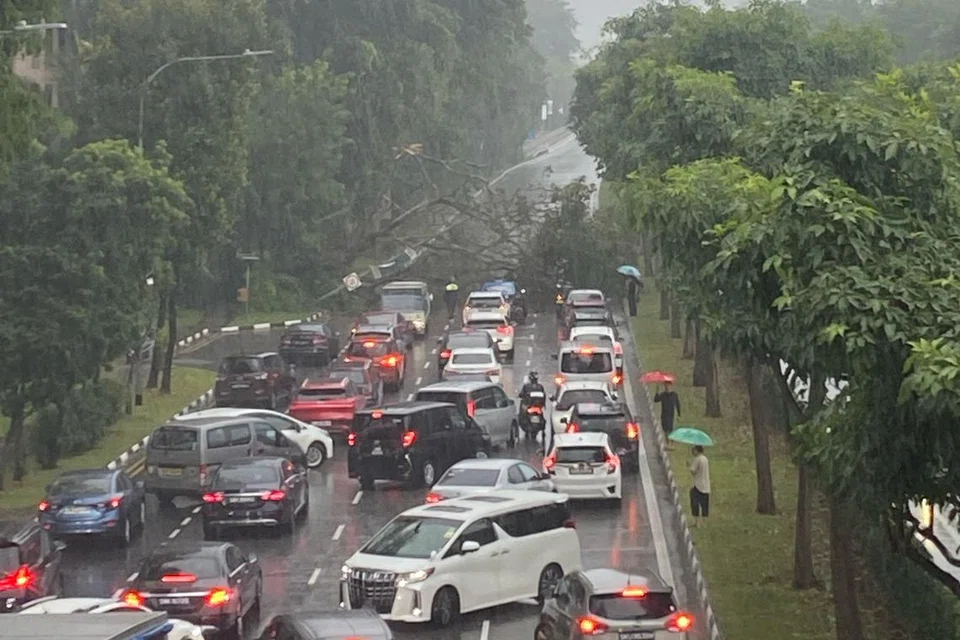 Keadaan sesak di Nicoll Highway selepas sebatang pokok tumbang hingga menyekat kesemua tiga laluan jalan raya itu menuju ke arah Kallang.