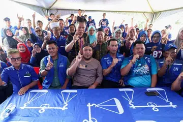 pilihan, raya, kecil, Kinabatangan 