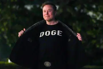 elon musk, trump