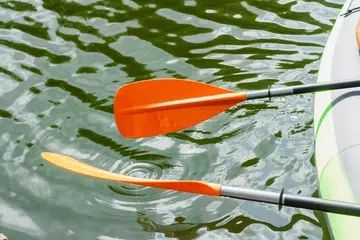 Persekutuan Kanu Singapura, Canoe, SEA Games 