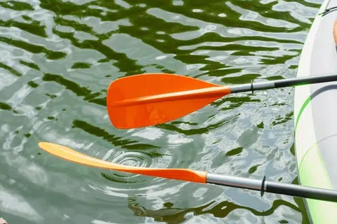 Persekutuan Kanu Singapura, Canoe, SEA Games 