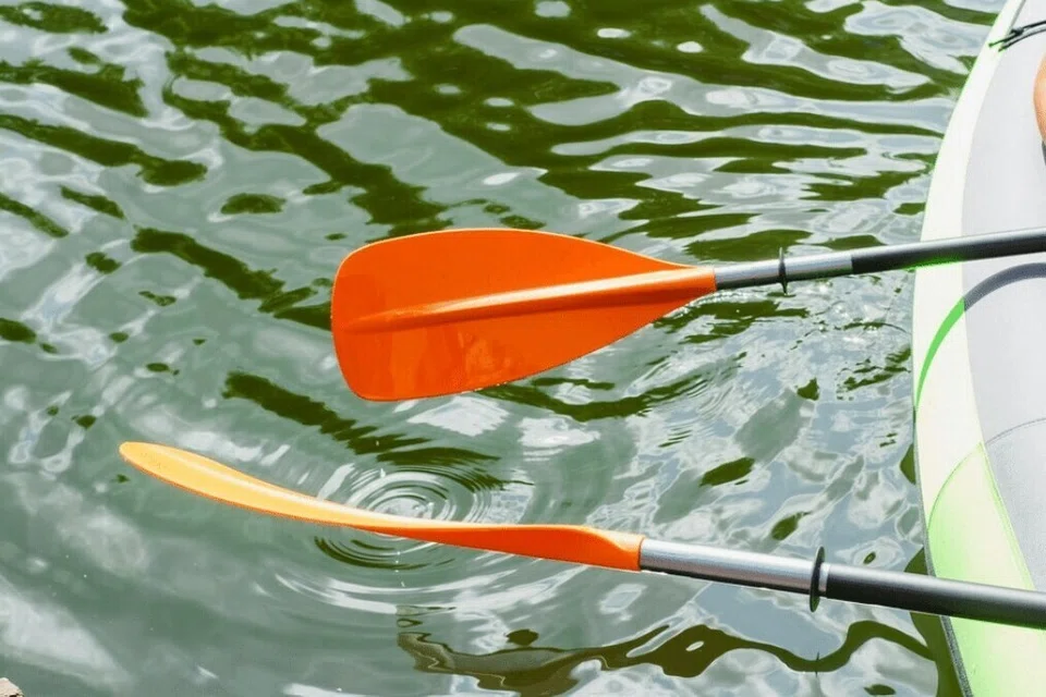 Persekutuan Kanu Singapura, Canoe, SEA Games 