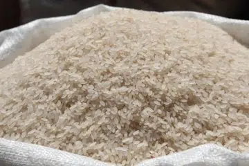 Foto hiasan