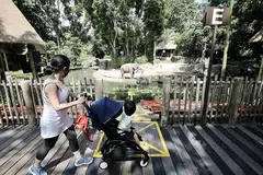 TAMAN HAIWAN: Menurut jurucakap Taman Haiwan, sekitar 2,000 pengunjung melawat taman itu pada hari pertama ia dibuka minggu lalu. - Foto LIANHE ZAOBAO