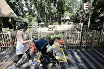 TAMAN HAIWAN: Menurut jurucakap Taman Haiwan, sekitar 2,000 pengunjung melawat taman itu pada hari pertama ia dibuka minggu lalu. - Foto LIANHE ZAOBAO