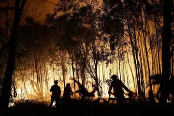 PETAKA ALAM: Anggota bomba berusaha memadamkan api di Fingerfield Road yang meranapkan sebahagian kawasan Taman Negara Deepwater di Queensland, Australia pada 29 November lalu. Ribuan penduduk di bahagian timur laut terpaksa dipindahkan sedang api marak akibat gelombang panas yang berlaku. - Foto AFP