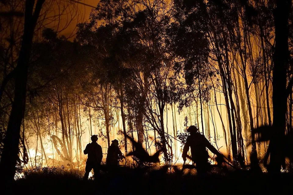 PETAKA ALAM: Anggota bomba berusaha memadamkan api di Fingerfield Road yang meranapkan sebahagian kawasan Taman Negara Deepwater di Queensland, Australia pada 29 November lalu. Ribuan penduduk di bahagian timur laut terpaksa dipindahkan sedang api marak akibat gelombang panas yang berlaku. - Foto AFP