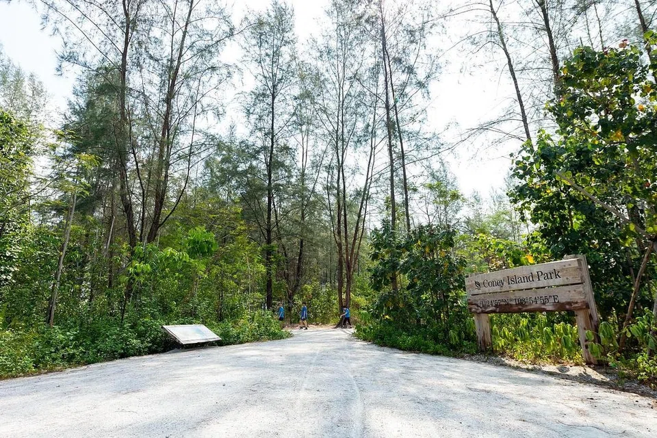 Taman Pulau Coney - Foto NPARKS