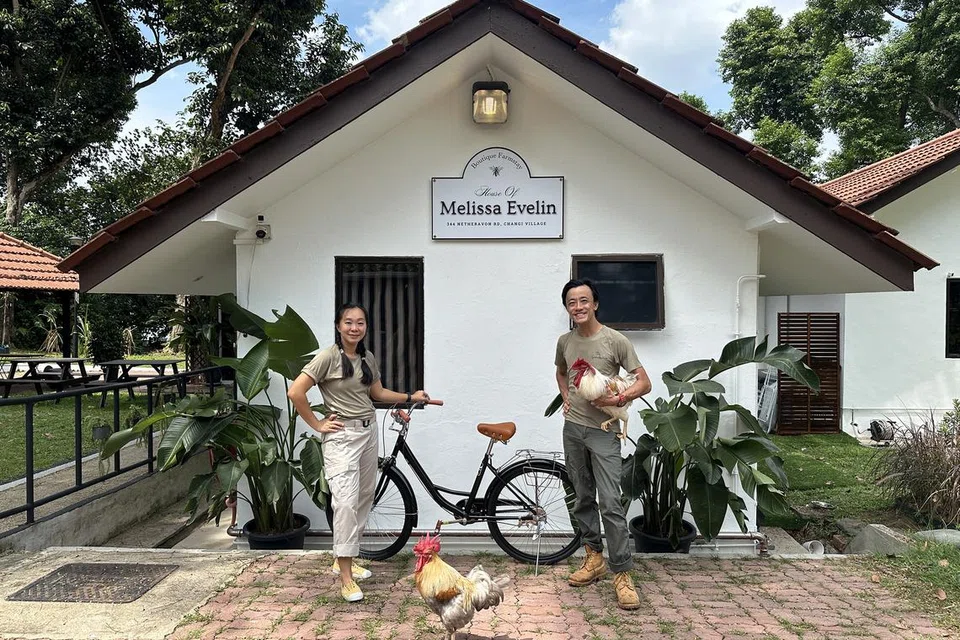 House of Melissa Evelin adalah rumah ladang butik yang diasaskan pasangan Cik Candice Li dan Encik Clarence Chua.