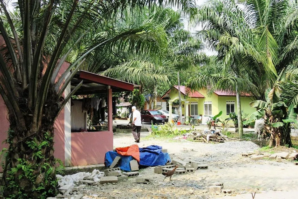 TUAN TANAH DARI SEBERANG: Ladang kelapa sawit serta 10 unit rumah sewa yang dimilkii Encik Misiri di Kampung Tiram Duku, Gelang Patah, ditaksirkan bernilai RM10 juta di pasaran sekarang. 