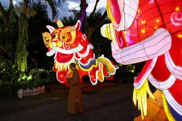 Hiasan singa bagi menyambut Tahun Baru Cina. (gambar hiasan)