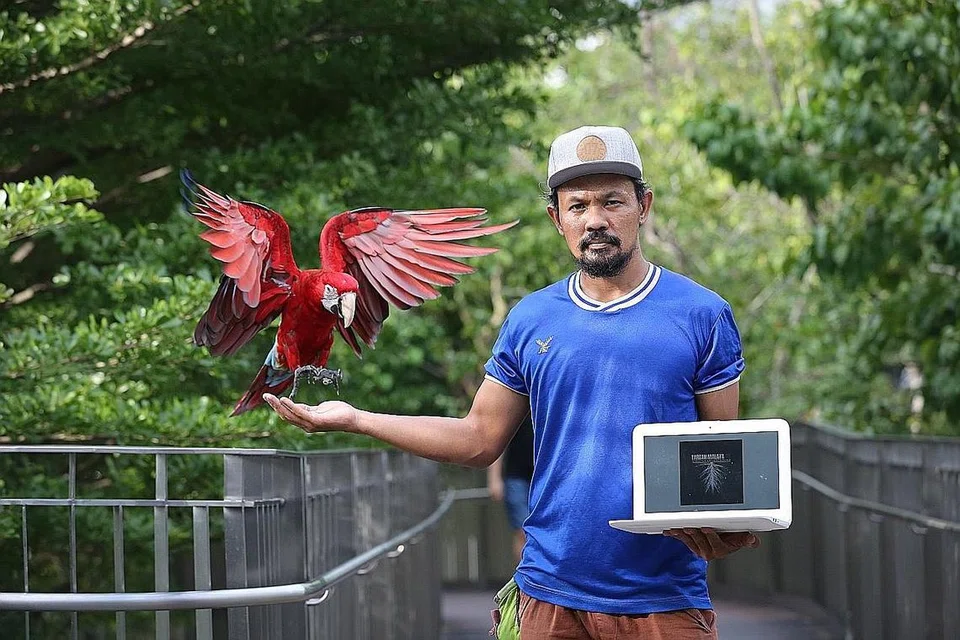 UNGGAS PENJANA PENDAPATAN: Shafiq Kamis mula serius membangun kandungan bermutu bagi laman YouTube 'Tarzan Malaya SG' apabila mendapati ramai ingin panduan memelihara dan merawat burung peliharaan cedera. - Foto BH oleh ONG WEE JIN