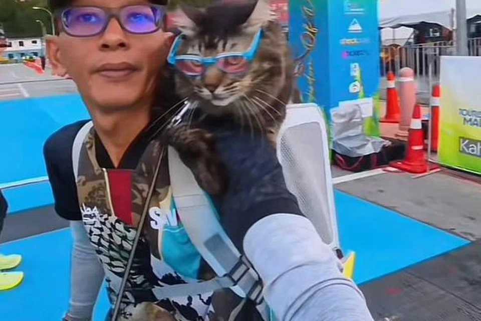 Pemilik Encik Azhan Dziaruddin, lebih dikenali sebagai Apak, bersama kucing peliharaannya, Jibek, baka campuran Maine Coon, menyertai acara maraton, The Magnificent Baling, di Kedah pada 26 Oktober 2024.