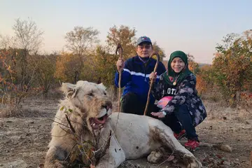Cik Mariammah Shafii (kanan) dan suaminya, Encik Saifuddin Hussien, berpeluang berada pada jarak dekat dengan tiga ekor singa putih di Mozambique.