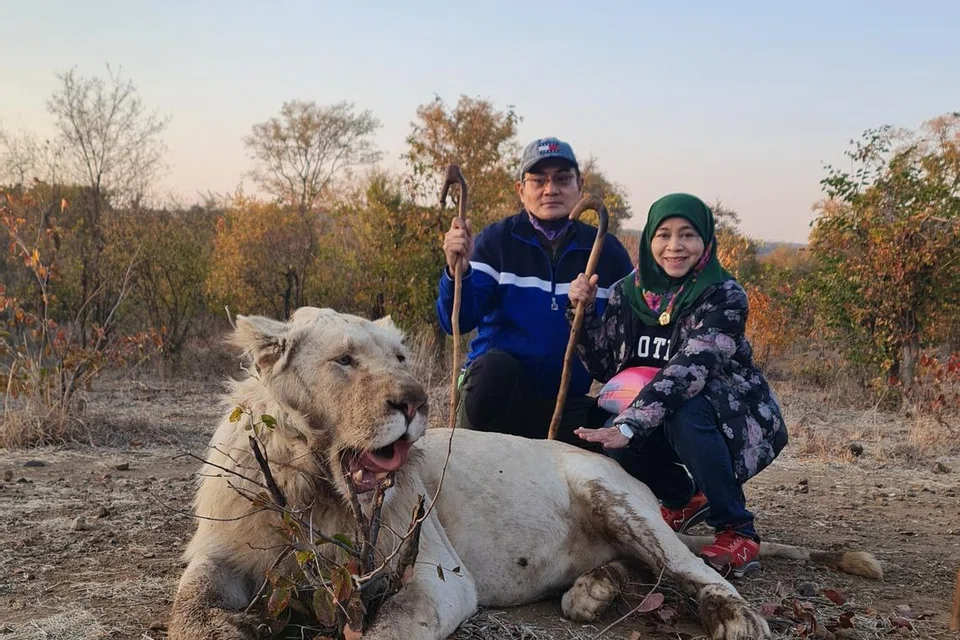 Cik Mariammah Shafii (kanan) dan suaminya, Encik Saifuddin Hussien, berpeluang berada pada jarak dekat dengan tiga ekor singa putih di Mozambique.