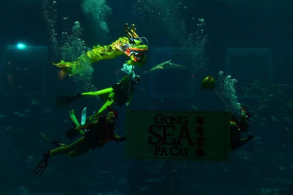 Acara menampilkan persembahan tarian naga oleh penyelam. 