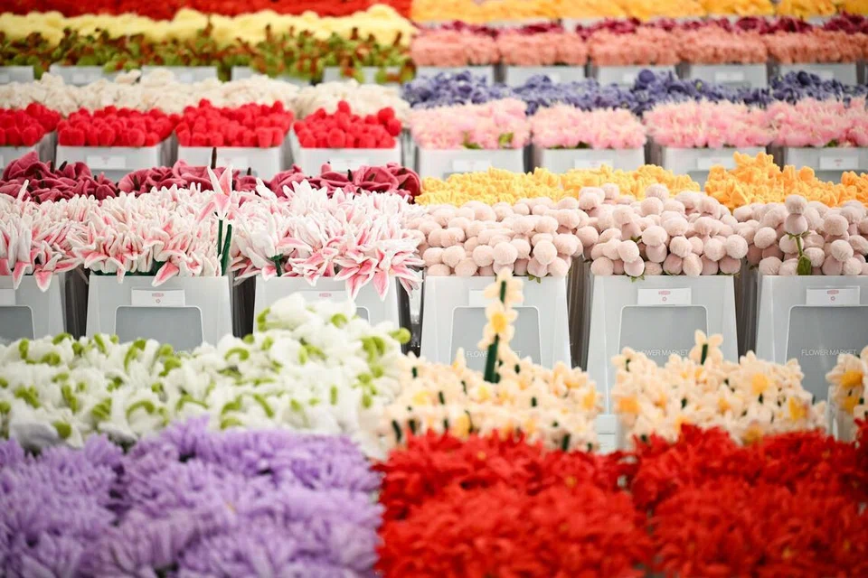 BUNGA EDISI KHAS: Antara bunga khas yang dihasilkan bersempena pameran di Singapura ialah Periuk Kera Raffles (Raffles’ Pitcher Plant), Bunga Gincu Singapura (Singapore Lipstick Flower) dan anggerik ‘Papilionanthe Miss Joaquim’ atau bunga kebangsaan Singapura, yang lebih dikenali sebagai ‘Vanda Miss Joaquim’.