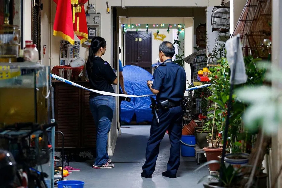 Pada 9 Julai, Encik Shawn Ignatius Rodrigues, 26 tahun, bekas pelajar Republic Polytechnic ditemui mati di luar sebuah flat di Blok 279 Yishun.