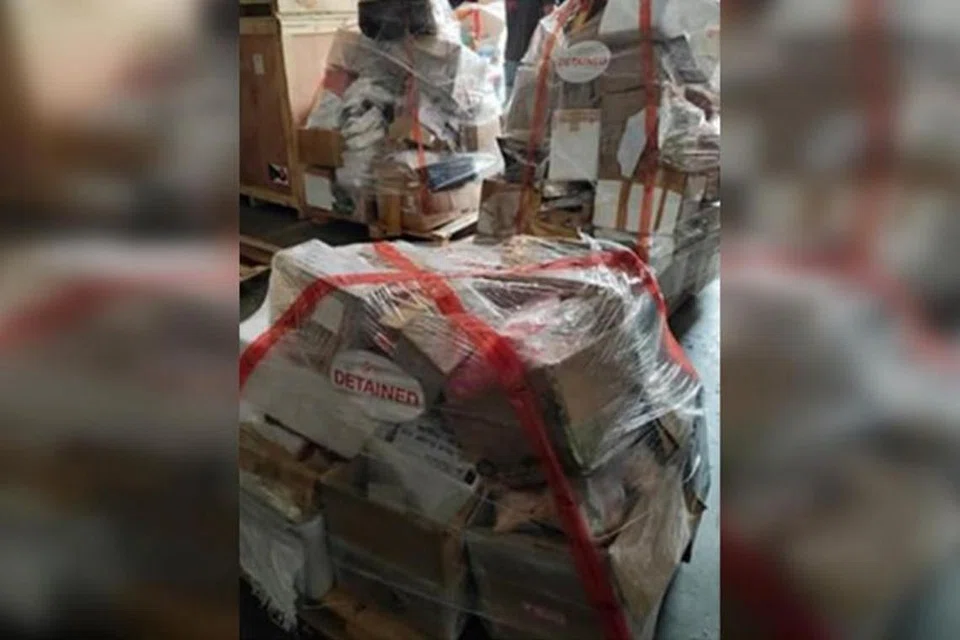 Foto AGENSI MAKANAN SINGAPURA (SFA)