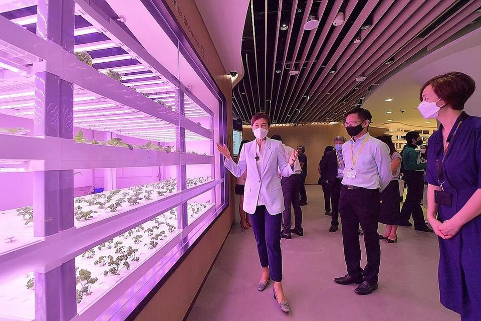 WADAH DIDIK TENTANG ALAM SEMULA JADI: (Dari kiri) Cik Josephine Teo bersama Ketua Pegawai Eksekutif NLB, Encik Ng Cher Pong, dan pengurus Perpustakaan Awam Choa Chu Kang, Cik Jollene Shu, meninjau bilik hidroponik di perpustakaan itu. - Foto BH oleh ALPHONSUS CHERN