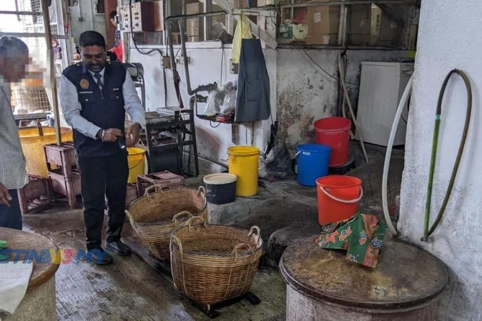 Perapan kacang soya diletakkan di atas lantai berlumut di hadapan tandas dan bilik air di kilang kicap berusia lebih 120 tahun dekat Jalan Patani, George Town, Pulau Pinang, ketika pemeriksaan dijalankan Pejabat Kesihatan Daerah Timur Laut. 