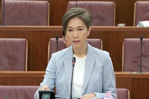 CIK TEO: Langkah dapat tangani bahaya jenayah dalam talian secara lebih berkesan. - Foto MCI