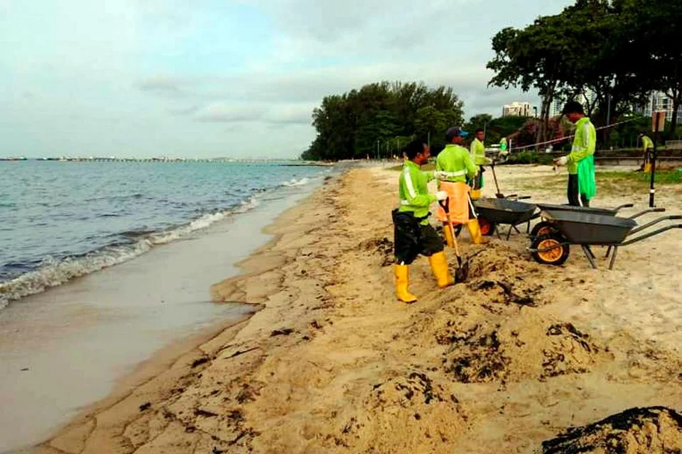 BERSIHKAN TUMPAHAN MINYAK: Para pekerja sudah pun memulakan operasi membersih di Pantai East Coast semalam di mana 400 meter pantai tersebut dicemari tumpahan minyak pada Rabu lalu. - Foto THE STRAITS TIMES