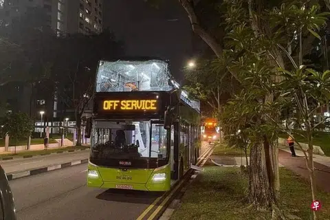 BUMBUNG ROSAK: Bahagian bumbung bas 88 musnah setelah ia dilaporkan melanggar dahan pokok dalam kejadian di Bishan Street 22 menghala Bishan Street 24 pada 22 November.