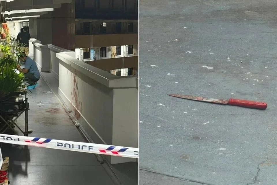 Kesan darah dan kesan tapak kaki berdarah ditemui di sepanjang koridor tingkat 16 di Blok 55 Lengkok Bahru. Sebilah pisau juga dikatakan telah dilontar dari tingkat 16 blok tersebut dan jatuh di hadapan kedai kopi berdekatan.