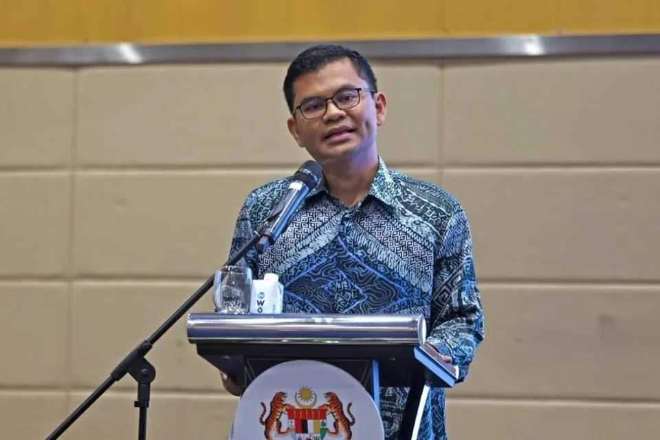 JS-SEZ, ekonomi, M’sia, S’pura