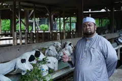 Ustaz Firdaus Masruhen memastikan semua haiwan sihat dan tidak berpenyakit sebelum menjalankan ibadah korban. Foto ini dirakam pada Januari 2024. 