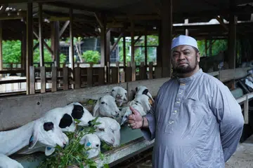 Ustaz Firdaus Masruhen memastikan semua haiwan sihat dan tidak berpenyakit sebelum menjalankan ibadah korban. Foto ini dirakam pada Januari 2024. 